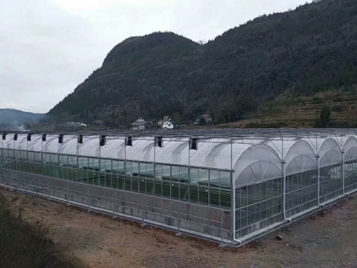 連棟薄膜溫室